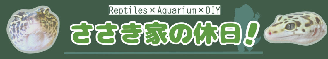 アマゾン ミュージック 途中 で 止まる