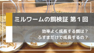 【ミルワーム飼育】最速で成長する餌を検証してみました【その1】