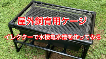 カメの屋外飼育用の排水口付き水槽の作り方 脱走 防獣対策付き ささき家の休日 カメの屋外飼育用の排水口付き水槽の作り方 脱走 防獣対策付き ささき家の休日
