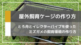 カメの屋外飼育用の排水口付き水槽の作り方【脱走＆防獣対策付き】