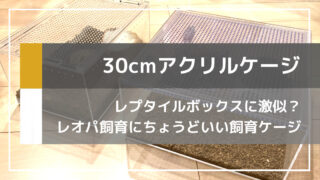 レプタイルボックスに激似の30×30cmアクリルケージの紹介