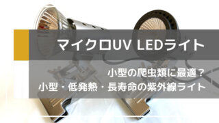 ゼンスイの爬虫類用超小型紫外線ライト「マイクロUV LED」の紹介