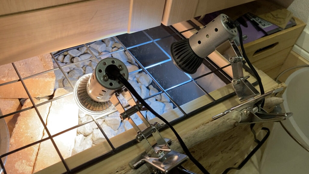 ゼンスイの爬虫類用超小型紫外線ライト「マイクロUV LED」の紹介 | ささき家の休日