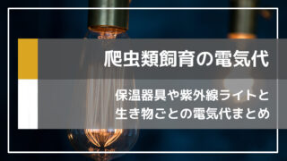 爬虫類を飼育する際にかかる電気代を計算してみました