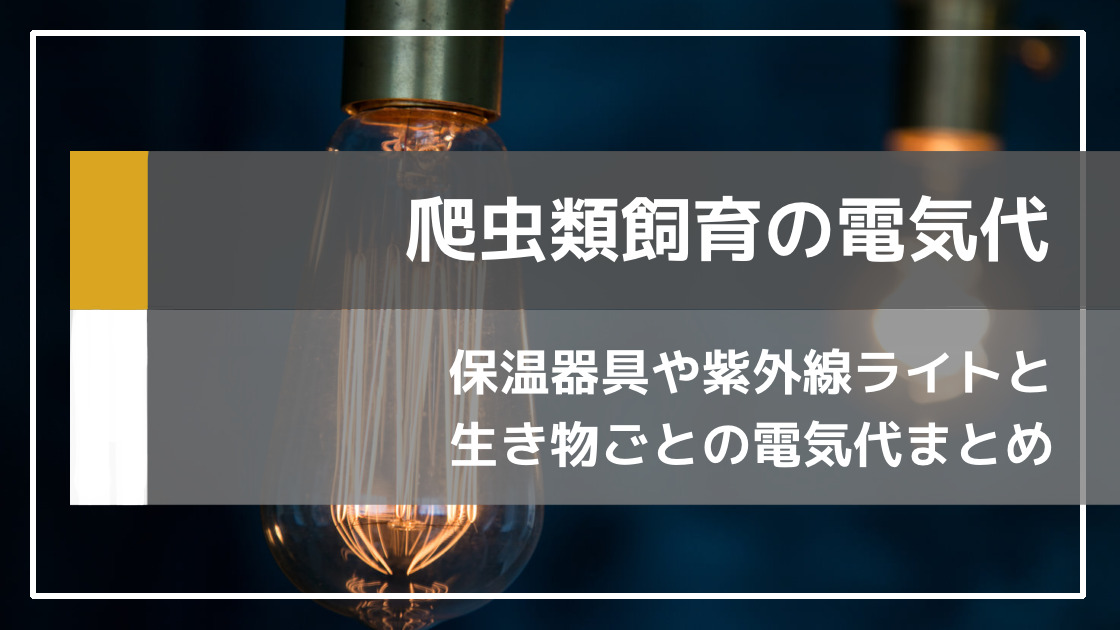 爬虫類を飼育する際にかかる電気代を計算してみました