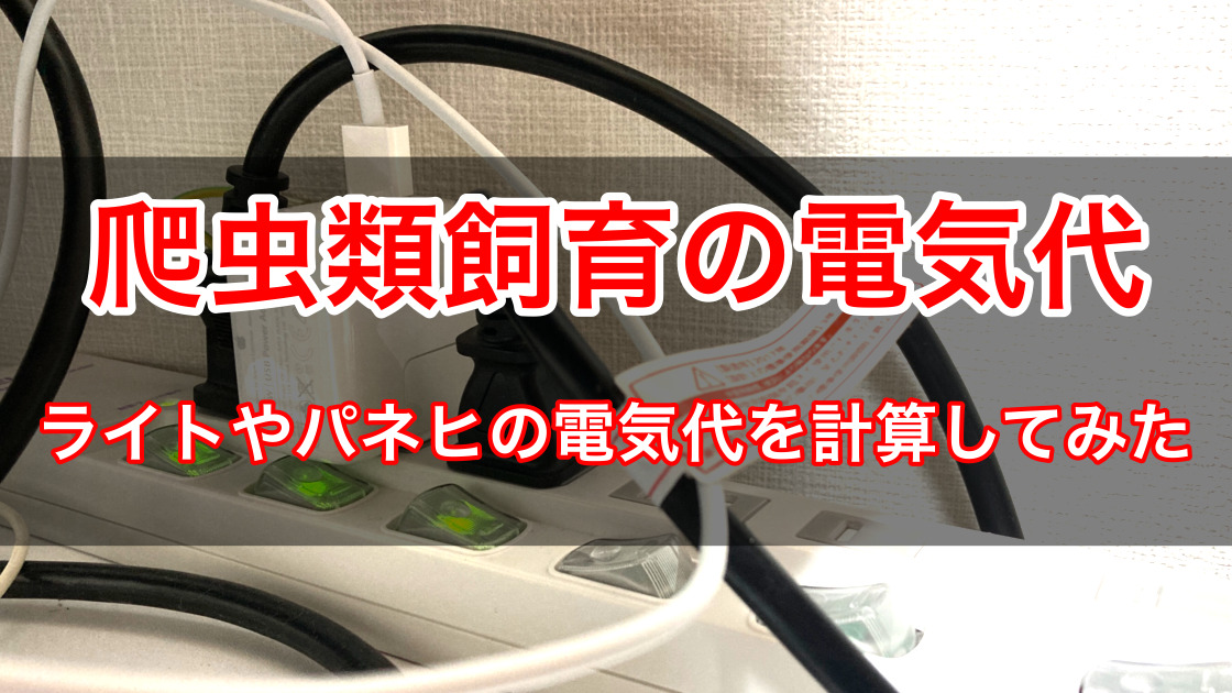 爬虫類を飼育する際にかかる電気代を計算してみました ささき家の休日