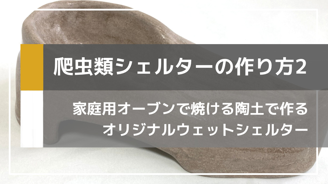 初心者でも簡単！オーブン陶土で爬虫類用ウェットシェルターを自作してみた