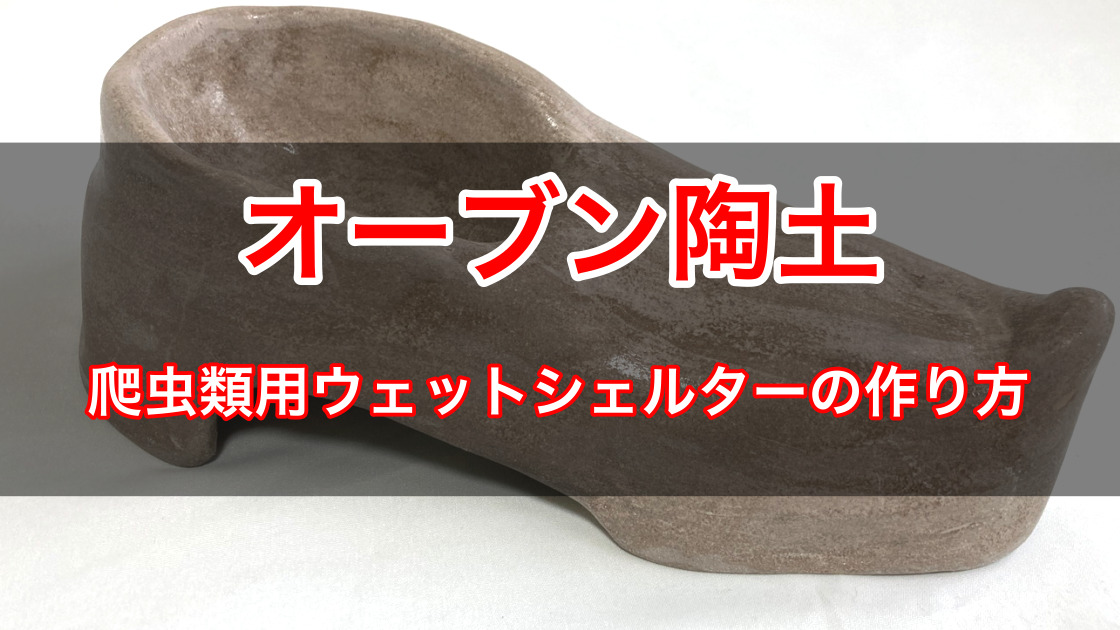初心者でも簡単！オーブン陶土で爬虫類用ウェットシェルターを自作してみた ささき家の休日