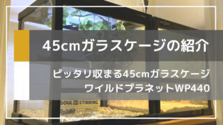 棚にぴったり収まる45cmサイズの爬虫類ケージ「ワイルドプラネットWP440」の紹介