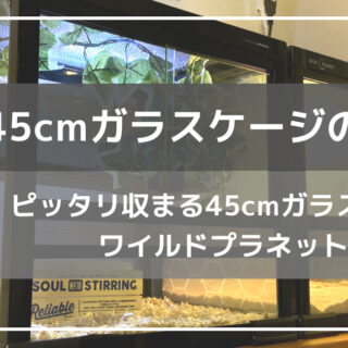 c9bee0bcdddede143454e417c8ec2b