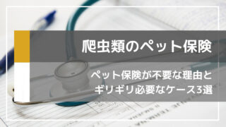 爬虫類飼育にペット保険が不要な理由３選と必要なケース３選