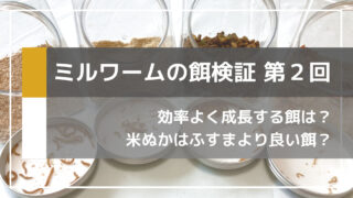 【ミルワーム飼育】最速で成長する餌を検証してみました【その2】