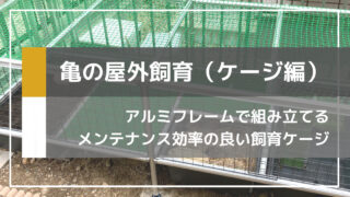 亀を屋外で飼育するために巨大アルミケージを自作してみた【亀池DIY】