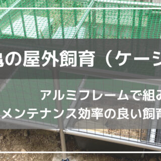 a18b564e355801e2faae96ac7d4e6d