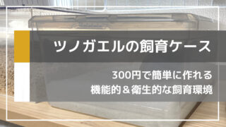 325afe9cd8b6cc645a11389f8b14d2