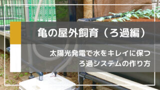 夜間にも動く太陽光発電式のろ過システムを自作してみました【亀池DIY】