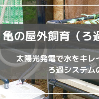 夜間にも動く太陽光発電式のろ過システムを自作してみました【亀池DIY