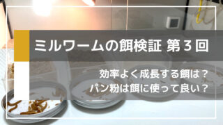 【ミルワーム飼育】最速で成長する餌を検証してみました【その3】