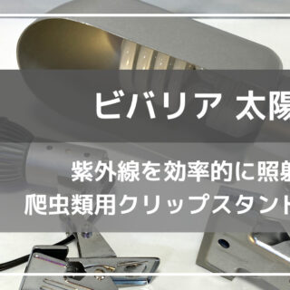 300bf6b53c910fc516860bb6a66eb2