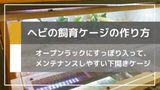 ca06f594d31714a1b436a9a2680bec